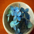 Goods�ʐ^��